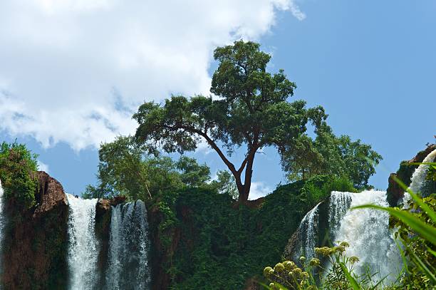 Ouzoud Waterfalls - RMT