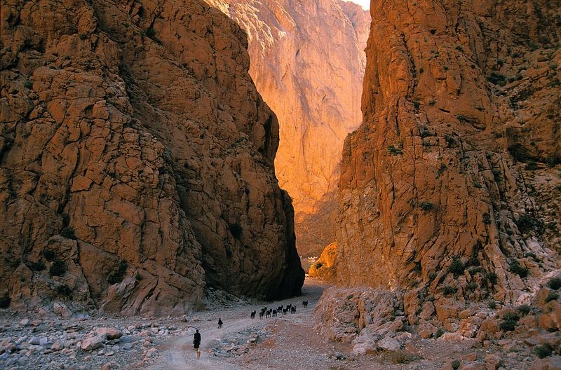 Morocco's Sahara Desert - RMT